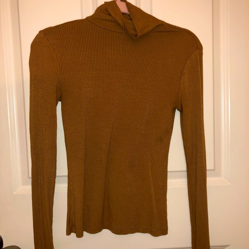 Brown Turtleneck